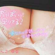 ヒメ日記 2025/06/28 13:36 投稿 ゆる 西東京市小平ちゃんこ