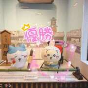 ヒメ日記 2025/08/02 18:14 投稿 ゆる 西東京市小平ちゃんこ