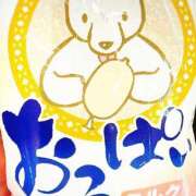 ヒメ日記 2025/08/16 17:56 投稿 ゆる 西東京市小平ちゃんこ