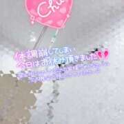 ヒメ日記 2025/09/27 11:46 投稿 ゆる 西東京市小平ちゃんこ