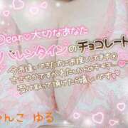 ヒメ日記 2026/02/07 13:09 投稿 ゆる 西東京市小平ちゃんこ