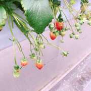 ヒメ日記 2026/02/21 13:50 投稿 ゆる 西東京市小平ちゃんこ