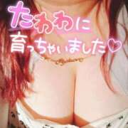ヒメ日記 2026/09/26 21:12 投稿 ゆる 西東京市小平ちゃんこ