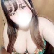 ヒメ日記 2025/04/20 07:00 投稿 かの 西東京市小平ちゃんこ