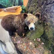 ヒメ日記 2025/05/30 16:38 投稿 かの 西東京市小平ちゃんこ