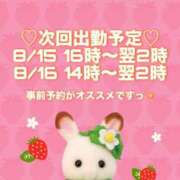 ヒメ日記 2025/08/12 09:00 投稿 かの 西東京市小平ちゃんこ