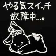 ヒメ日記 2025/04/12 00:30 投稿 きよら 西東京市小平ちゃんこ
