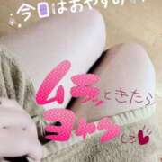 ヒメ日記 2025/04/20 09:33 投稿 きよら 西東京市小平ちゃんこ