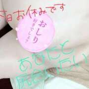 ヒメ日記 2025/04/25 08:34 投稿 きよら 西東京市小平ちゃんこ