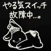 ヒメ日記 2025/04/29 23:05 投稿 きよら 西東京市小平ちゃんこ