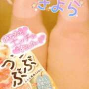 ヒメ日記 2025/05/14 13:31 投稿 きよら 西東京市小平ちゃんこ