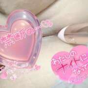 ヒメ日記 2025/05/27 08:41 投稿 きよら 西東京市小平ちゃんこ