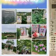 ヒメ日記 2025/06/08 21:12 投稿 きよら 西東京市小平ちゃんこ