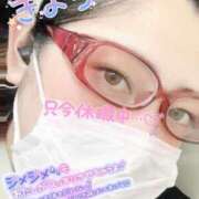 ヒメ日記 2025/08/03 08:50 投稿 きよら 西東京市小平ちゃんこ