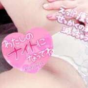 ヒメ日記 2025/08/19 15:01 投稿 きよら 西東京市小平ちゃんこ