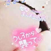 ヒメ日記 2025/08/30 14:25 投稿 きよら 西東京市小平ちゃんこ