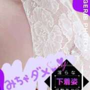 ヒメ日記 2025/09/24 06:46 投稿 きよら 西東京市小平ちゃんこ