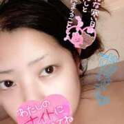 ヒメ日記 2026/02/11 14:33 投稿 きよら 西東京市小平ちゃんこ