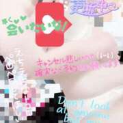 ヒメ日記 2026/05/14 10:49 投稿 きよら 西東京市小平ちゃんこ