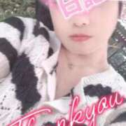 ヒメ日記 2025/04/12 17:44 投稿 こころ マダムバンク 富山本店