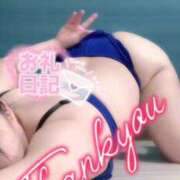 ヒメ日記 2025/04/20 07:55 投稿 こころ マダムバンク 富山本店