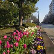 ヒメ日記 2025/04/02 03:03 投稿 ふみか プールサイド新橋店