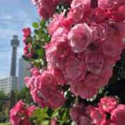 ヒメ日記 2026/03/21 21:28 投稿 ふみか プールサイド新橋店