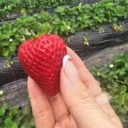 ヒメ日記 2026/03/31 06:26 投稿 ふみか プールサイド新橋店