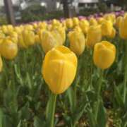 ふみか ありがとうございました🤗💓 プールサイド新橋店