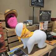 ヒメ日記 2026/09/03 06:48 投稿 ふみか プールサイド新橋店