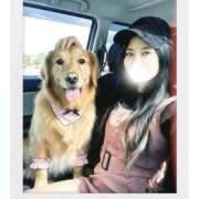 ヒメ日記 2025/11/16 07:28 投稿 りりか 吉原ファーストレディ