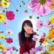 ヒメ日記 2026/03/24 12:36 投稿 りりか 吉原ファーストレディ