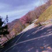 ヒメ日記 2025/05/04 14:40 投稿 あおい どMばすたーず すすきの店