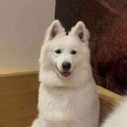 もな（Gカップ・可愛・小柄） ❄️お題❄️ ソープランド ラ・メイド neo