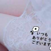 ヒメ日記 2025/11/01 07:16 投稿 平野　あかり YOKOHAMA FIVESTAR（横浜ファイブスター）