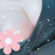 ヒメ日記 2025/11/08 07:32 投稿 平野　あかり YOKOHAMA FIVESTAR（横浜ファイブスター）