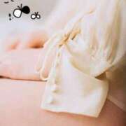 ヒメ日記 2025/11/17 07:49 投稿 平野　あかり YOKOHAMA FIVESTAR（横浜ファイブスター）