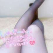 ヒメ日記 2026/02/16 07:47 投稿 平野　あかり YOKOHAMA FIVESTAR（横浜ファイブスター）