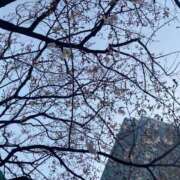 山崎（やまざき） こんにちは☺️ 熟女の風俗最終章 大宮店