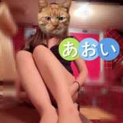 ヒメ日記 2025/03/28 08:42 投稿 あおい 快楽夫人