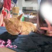 ヒメ日記 2025/05/06 15:06 投稿 なえなえ イクイクサークル鶯谷店