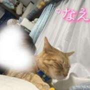 ヒメ日記 2025/06/13 18:16 投稿 なえなえ イクイクサークル鶯谷店