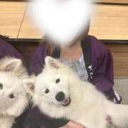 ヒメ日記 2025/06/15 23:32 投稿 なえなえ イクイクサークル鶯谷店