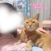 ヒメ日記 2025/06/23 19:16 投稿 なえなえ イクイクサークル鶯谷店