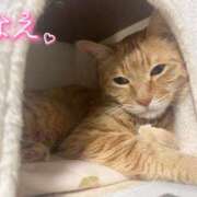 ヒメ日記 2025/06/24 21:16 投稿 なえなえ イクイクサークル鶯谷店