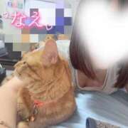 ヒメ日記 2025/08/04 23:26 投稿 なえなえ イクイクサークル鶯谷店