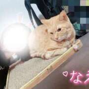 ヒメ日記 2025/10/23 21:56 投稿 なえなえ イクイクサークル鶯谷店