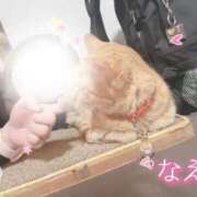 ヒメ日記 2025/10/27 19:16 投稿 なえなえ イクイクサークル鶯谷店