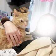 ヒメ日記 2025/10/30 19:06 投稿 なえなえ イクイクサークル鶯谷店