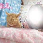 ヒメ日記 2025/11/20 22:16 投稿 なえなえ イクイクサークル鶯谷店